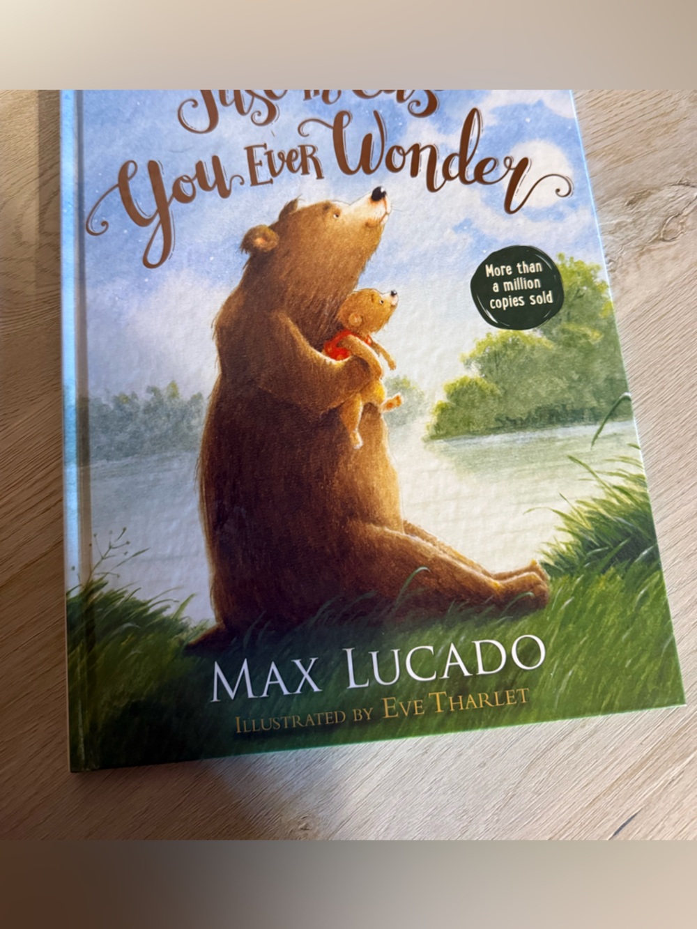 Just In Case You Ever Wonder - Illustrated Bear Book